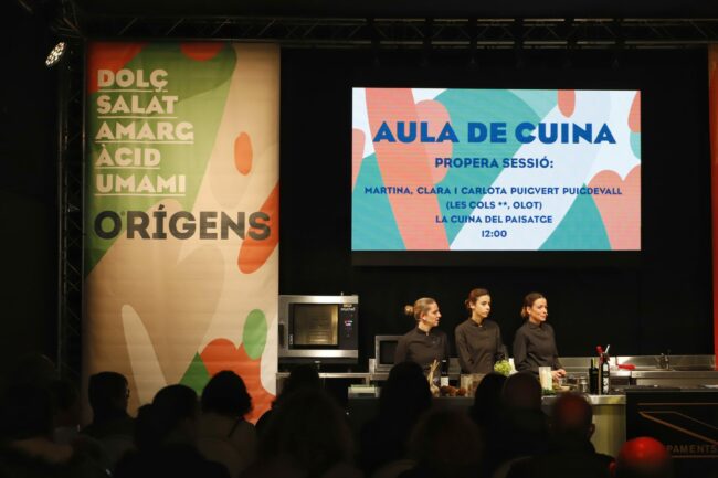 20221119132748__MG_5466-01